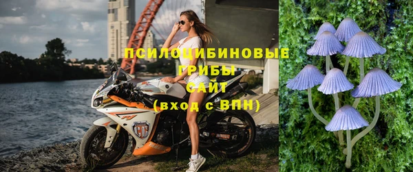 2c-b Горняк
