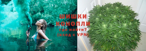 не бодяженный Горно-Алтайск