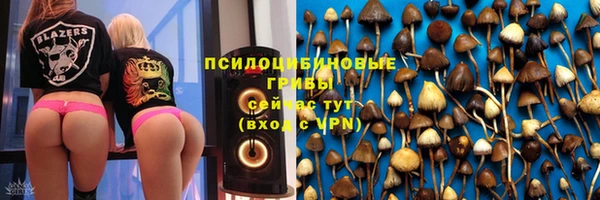 не бодяженный Горно-Алтайск