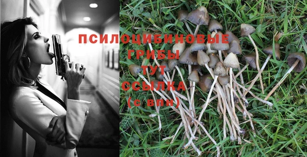 не бодяженный Горно-Алтайск