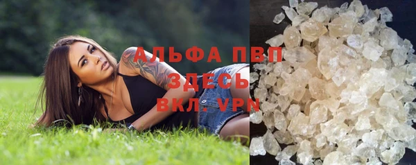 сатива Вязьма